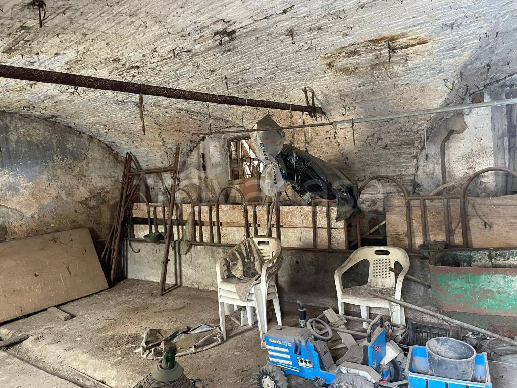 immagine annuncio 2 di 9