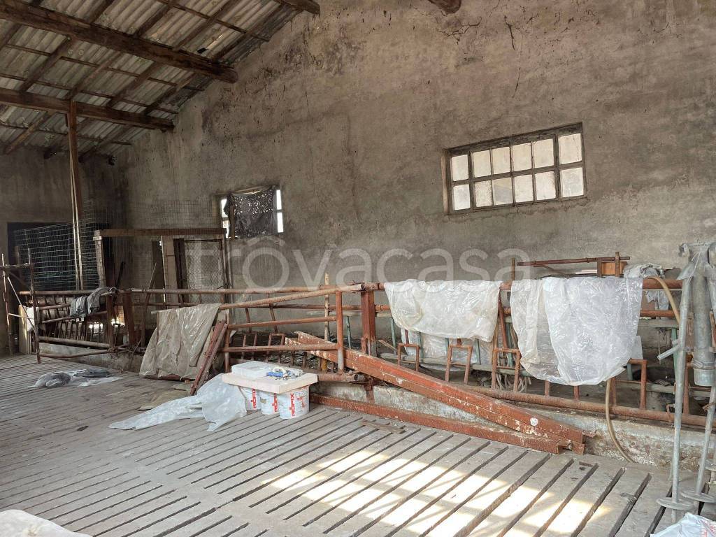 immagine annuncio 4 di 9