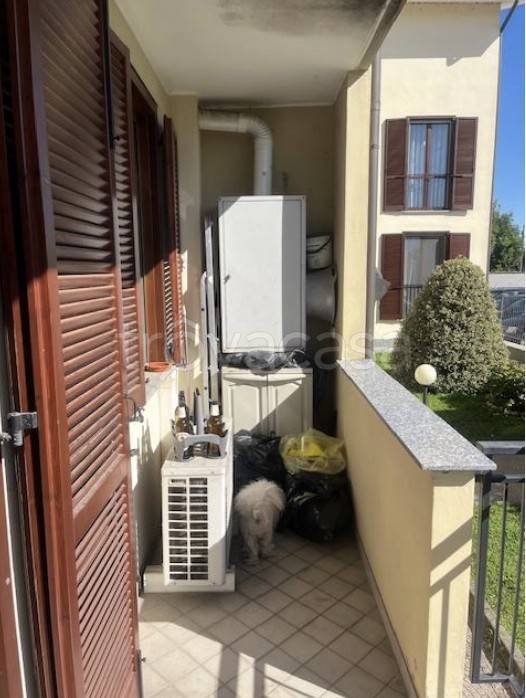 immagine annuncio 11 di 15