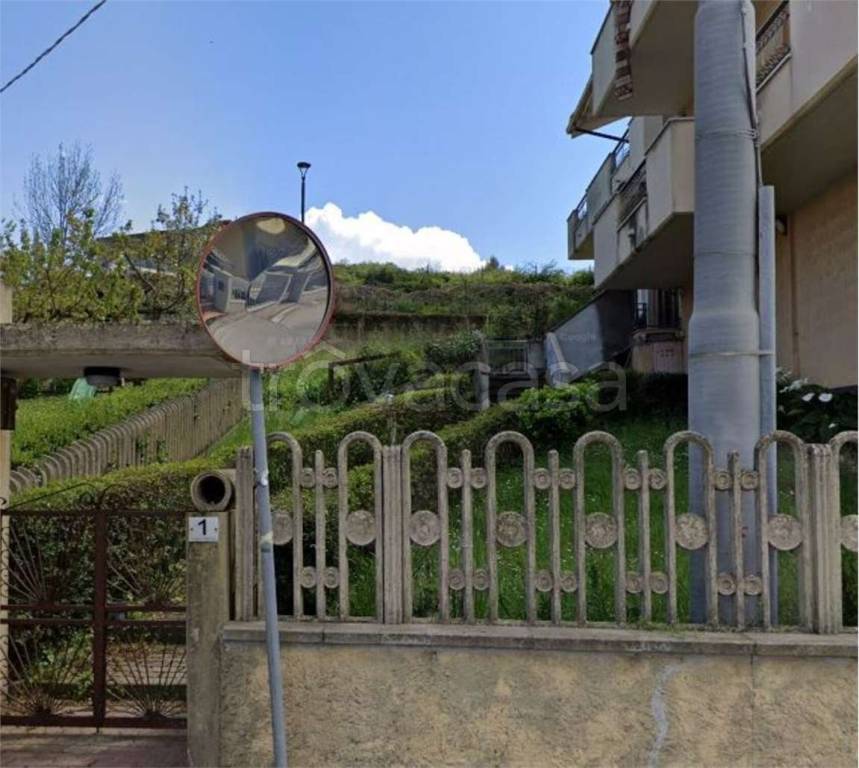 immagine annuncio 3 di 14