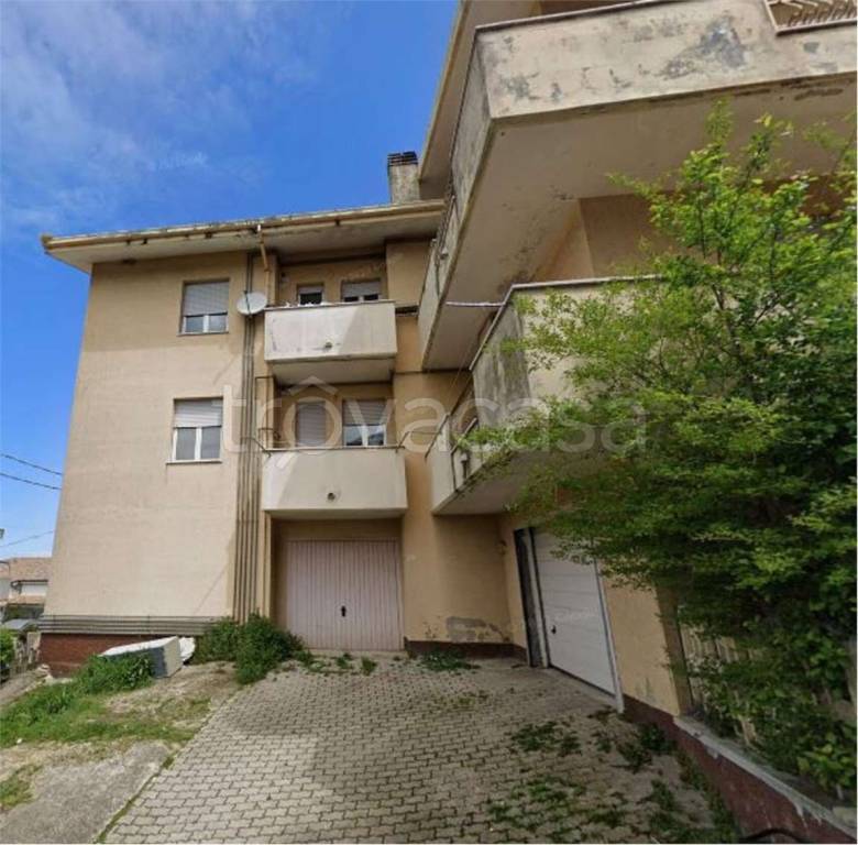 immagine annuncio 6 di 14