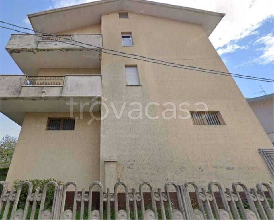 immagine annuncio 12 di 14