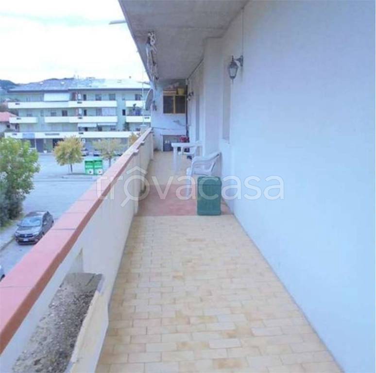 immagine annuncio 5 di 14