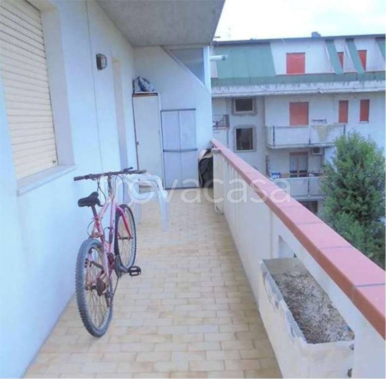 immagine annuncio 7 di 14