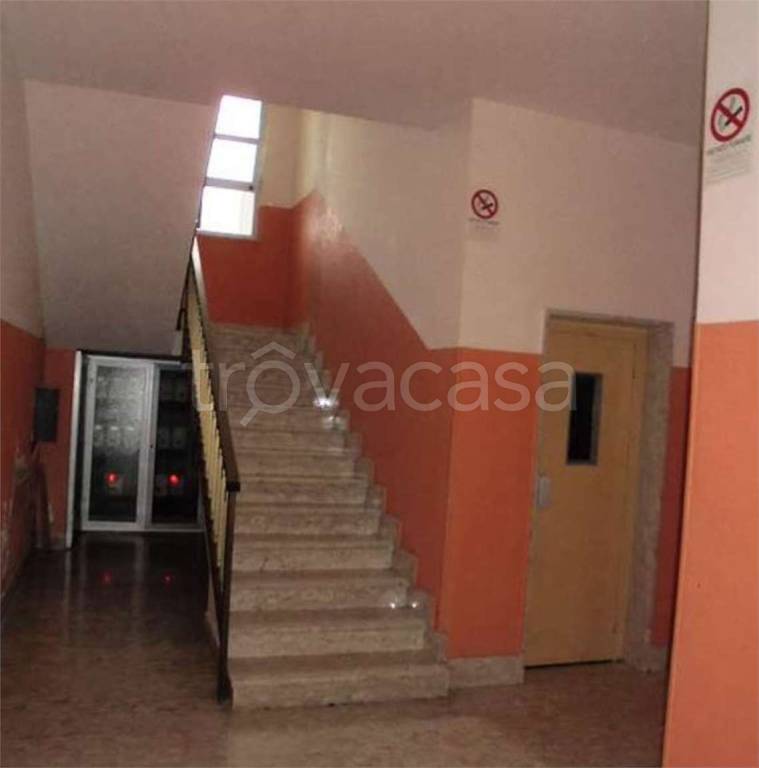 immagine annuncio 11 di 14