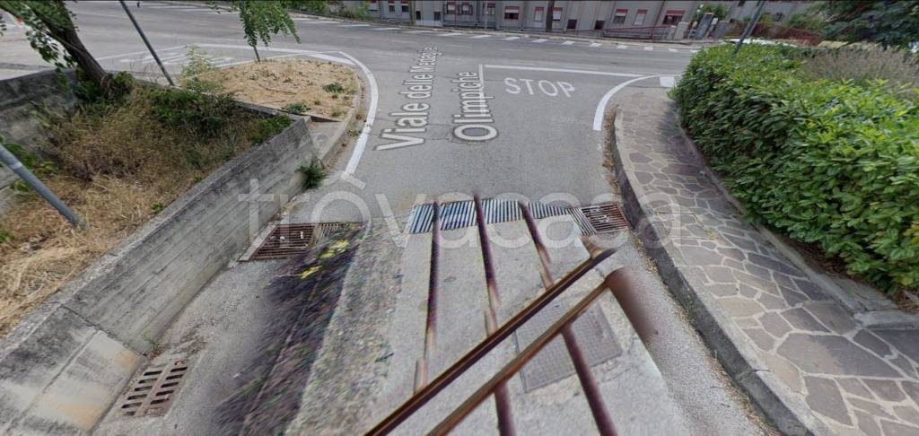 immagine annuncio 11 di 14