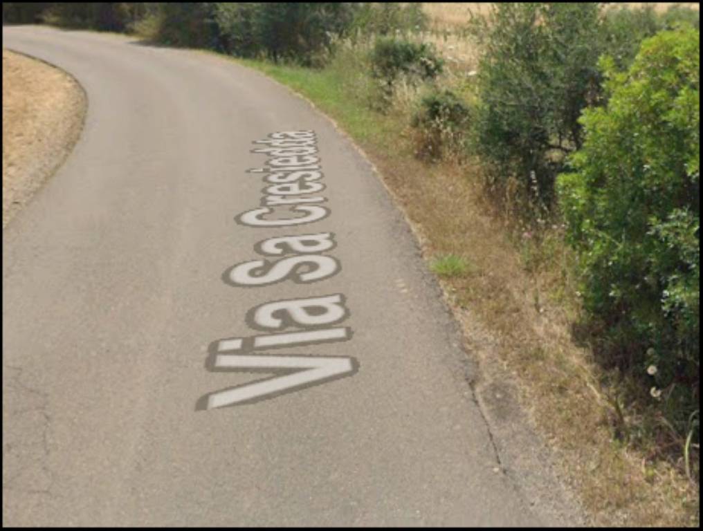 immagine annuncio 3 di 12