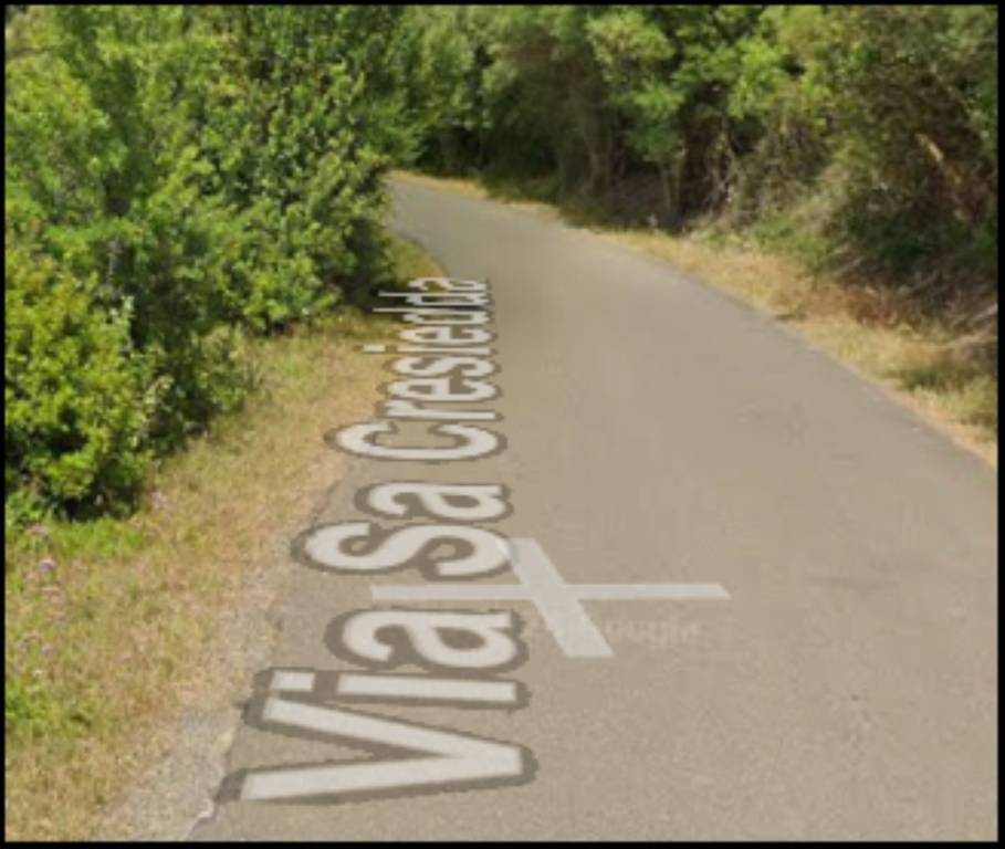 immagine annuncio 5 di 12