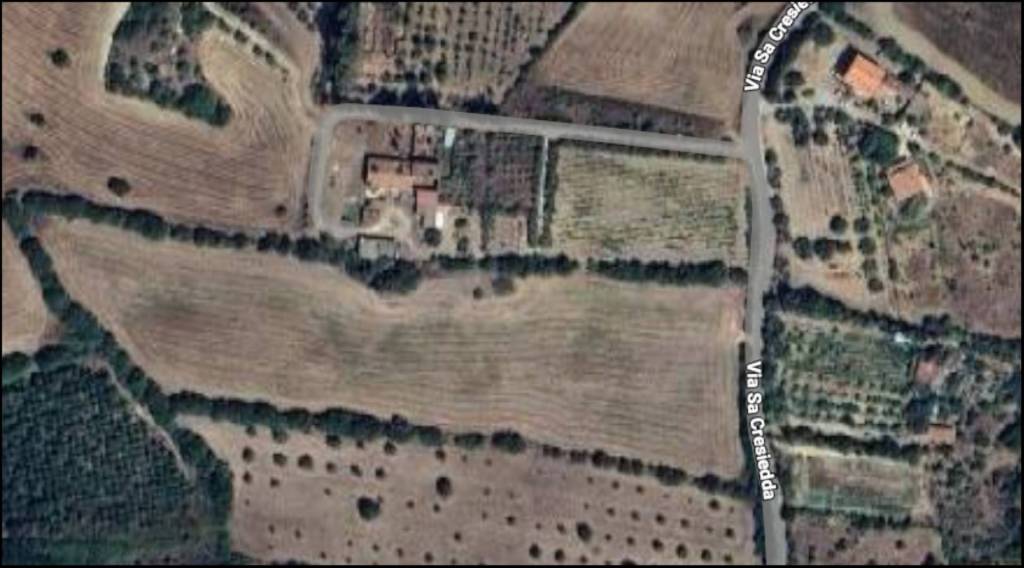 immagine annuncio 11 di 12