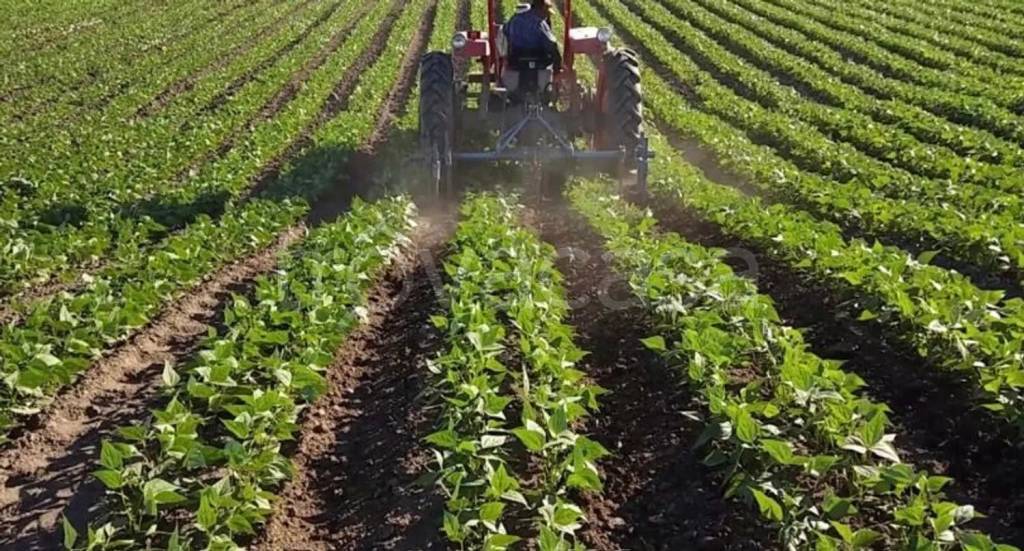 immagine annuncio 1 di 9