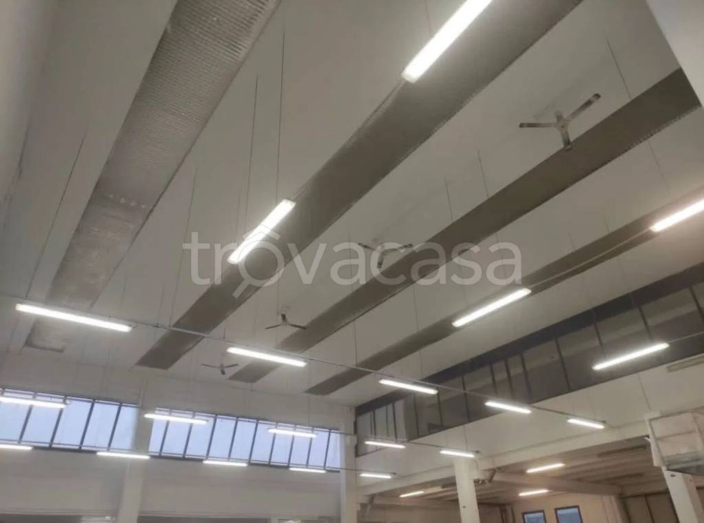 immagine annuncio 3 di 4