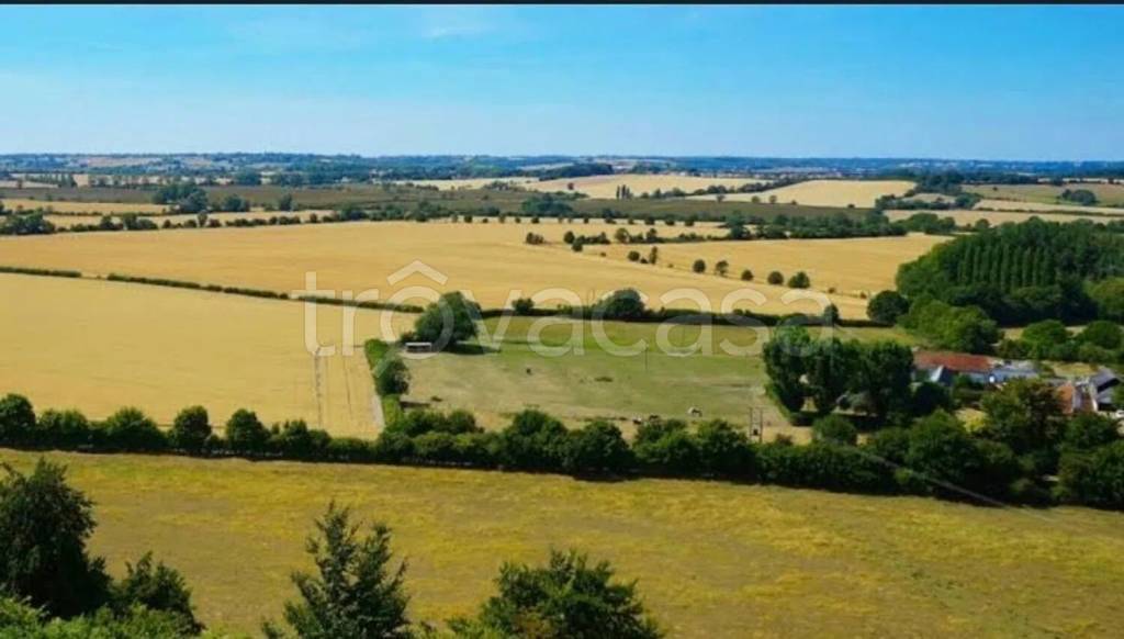 immagine annuncio 7 di 9