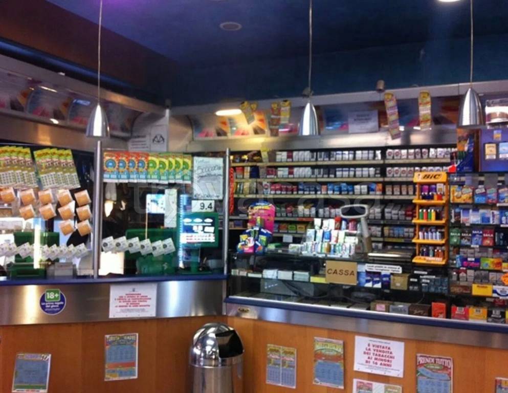 immagine annuncio 2 di 7