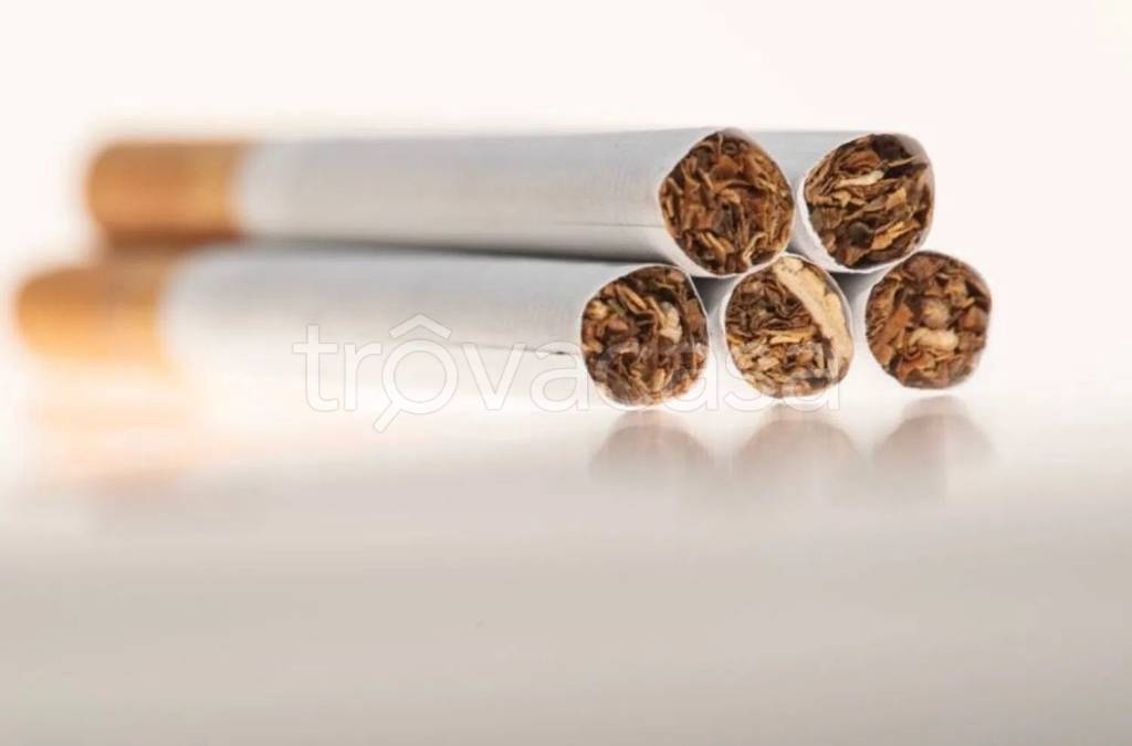 immagine annuncio 3 di 7