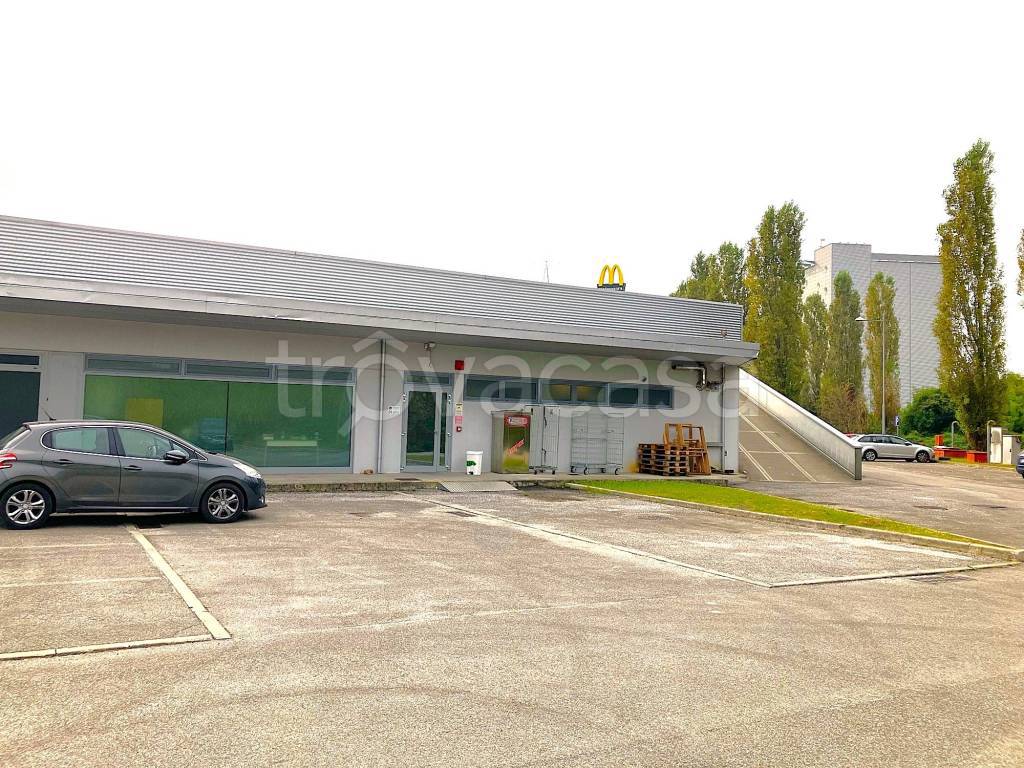 immagine annuncio 3 di 11