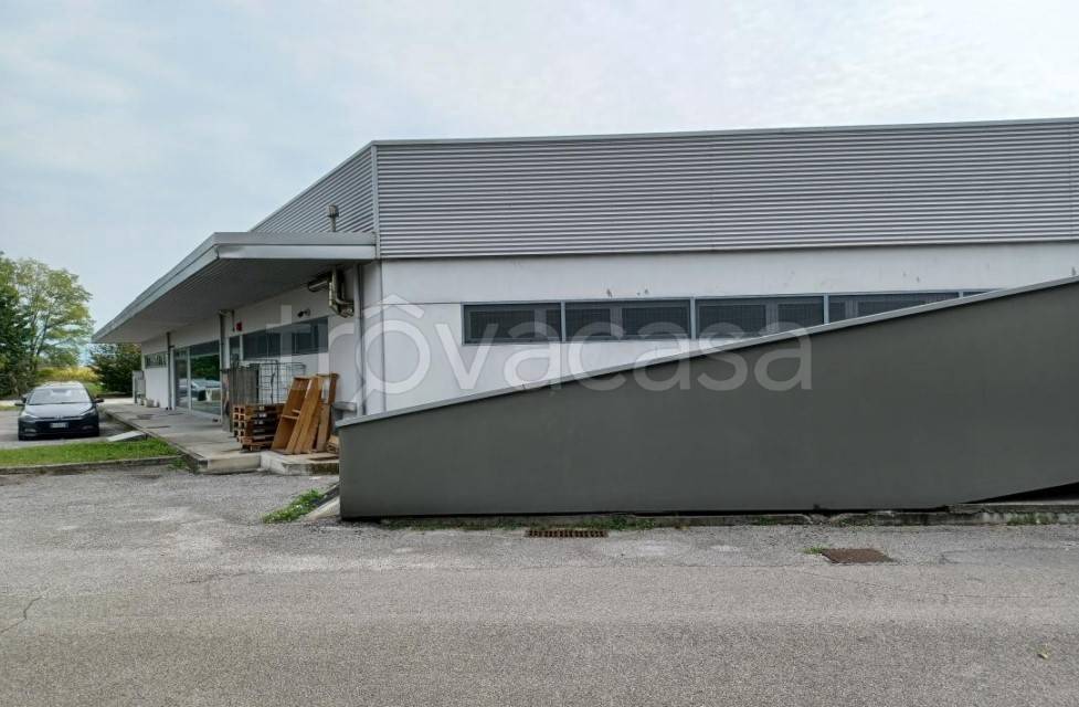 immagine annuncio 4 di 11