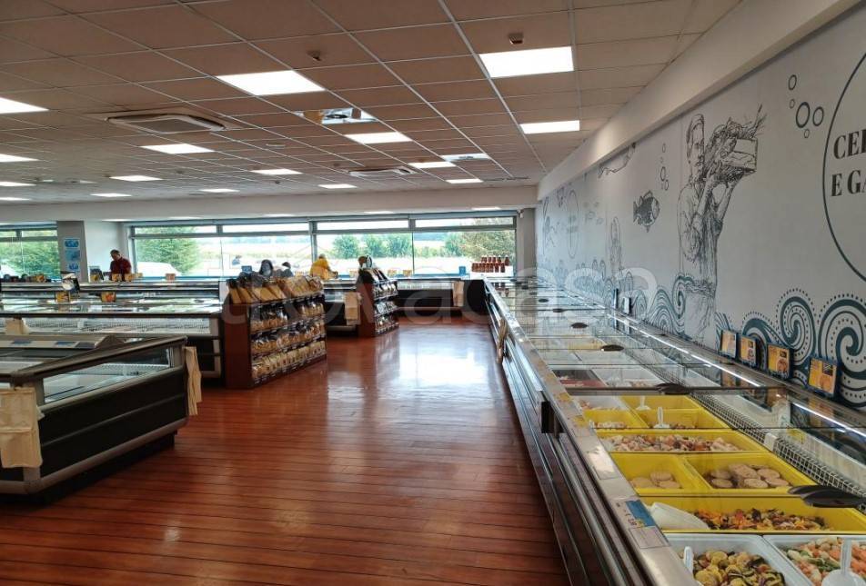 immagine annuncio 5 di 11