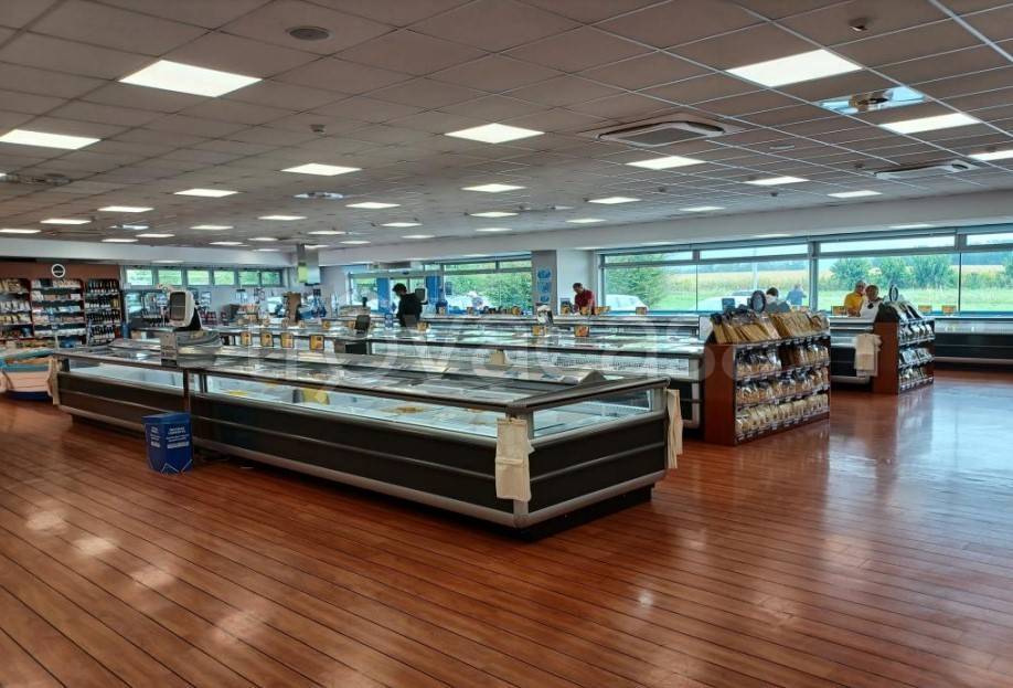 immagine annuncio 6 di 11