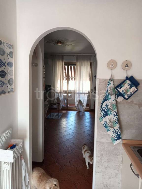 immagine annuncio 6 di 12