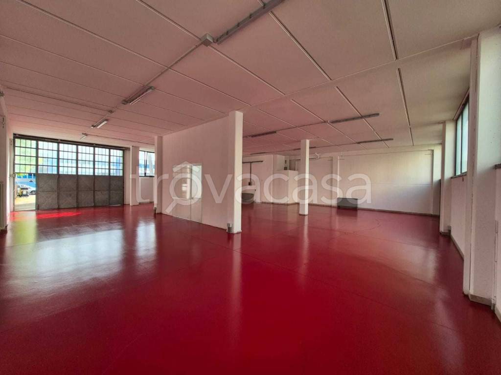 immagine annuncio 8 di 15