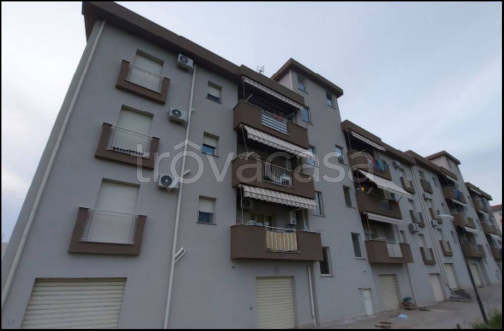 immagine annuncio 1 di 14