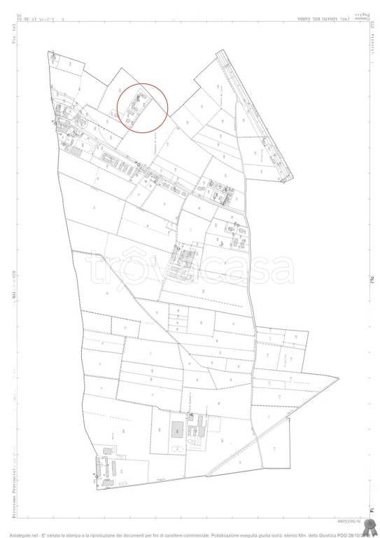 immagine annuncio 10 di 11