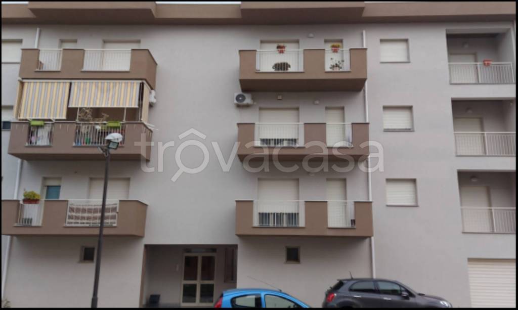 immagine annuncio 3 di 14