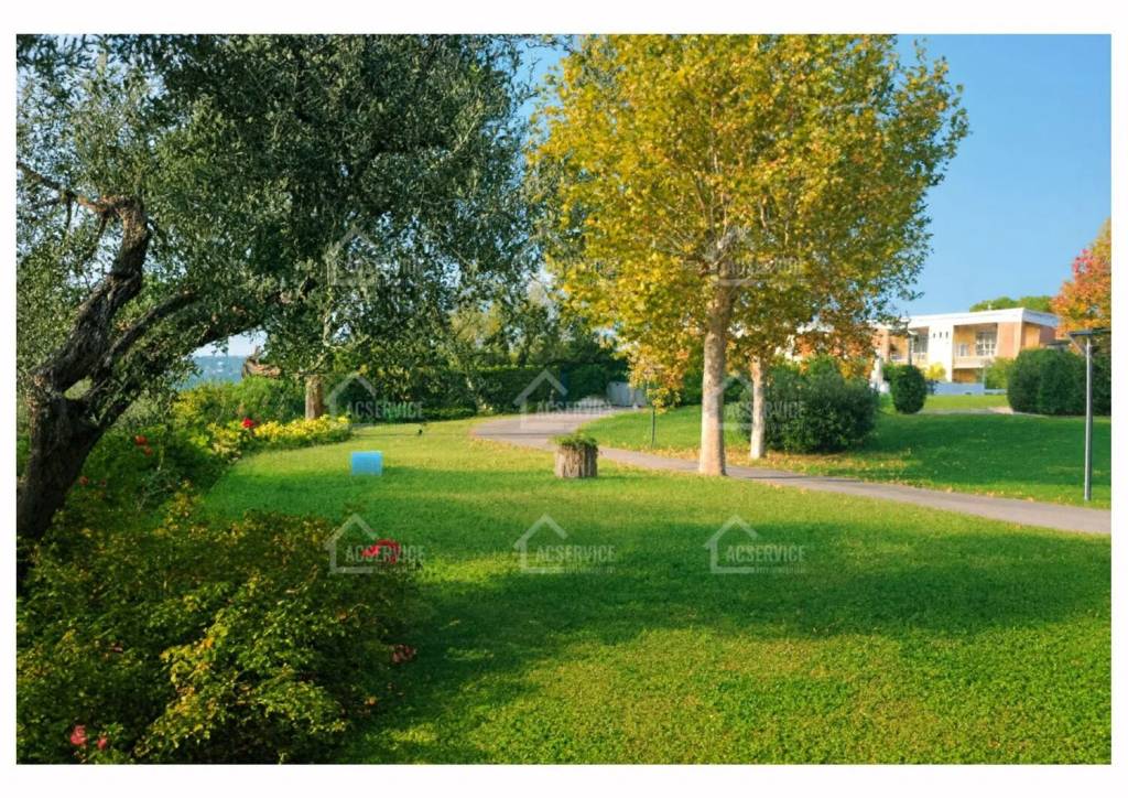 immagine annuncio 3 di 14