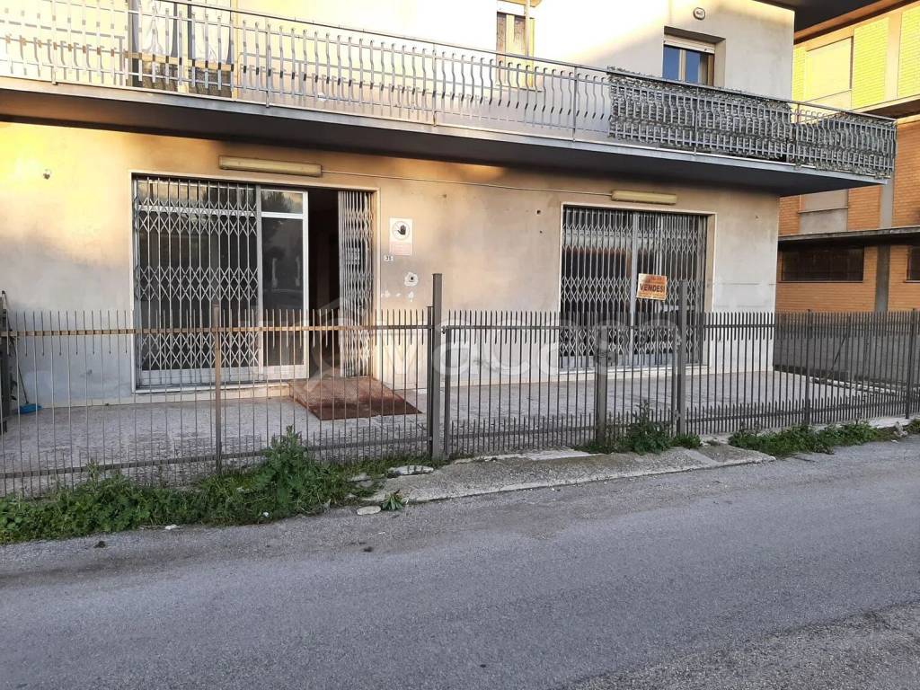 immagine annuncio 1 di 4