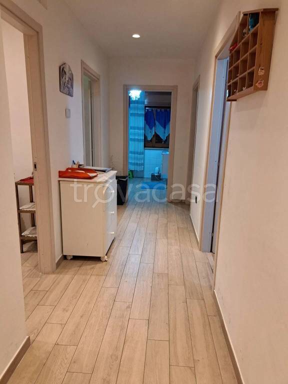 immagine annuncio 7 di 13