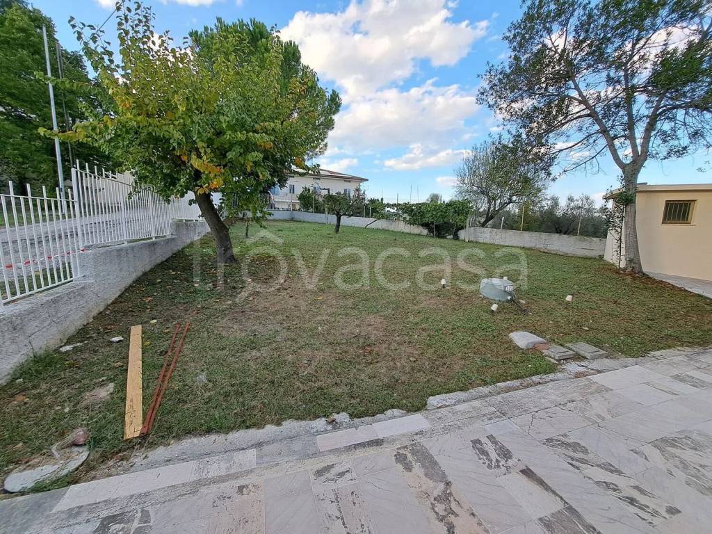 immagine annuncio 2 di 13