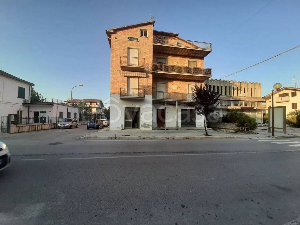 immagine annuncio 4 di 6