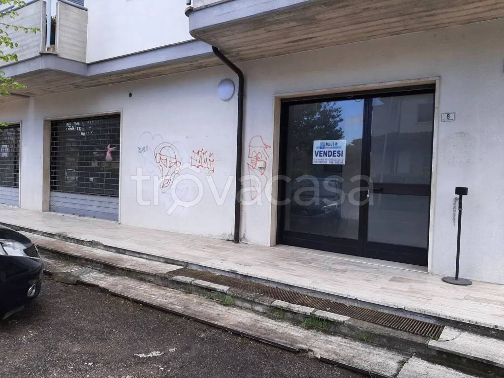 immagine annuncio 1 di 6