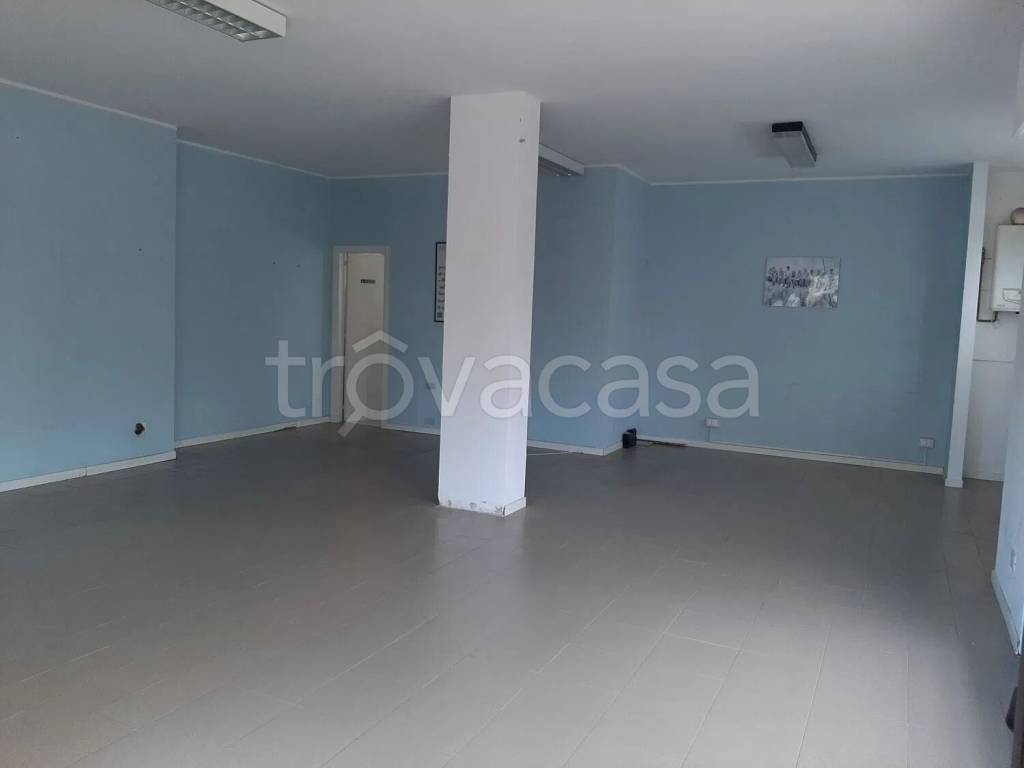 immagine annuncio 5 di 6