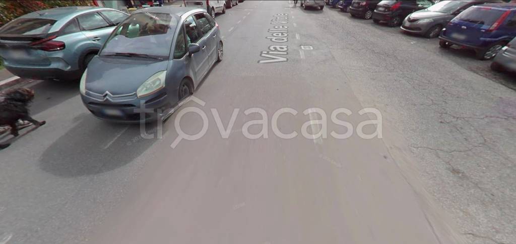 immagine annuncio 2 di 14