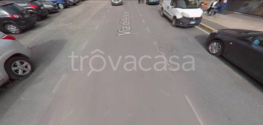 immagine annuncio 11 di 14