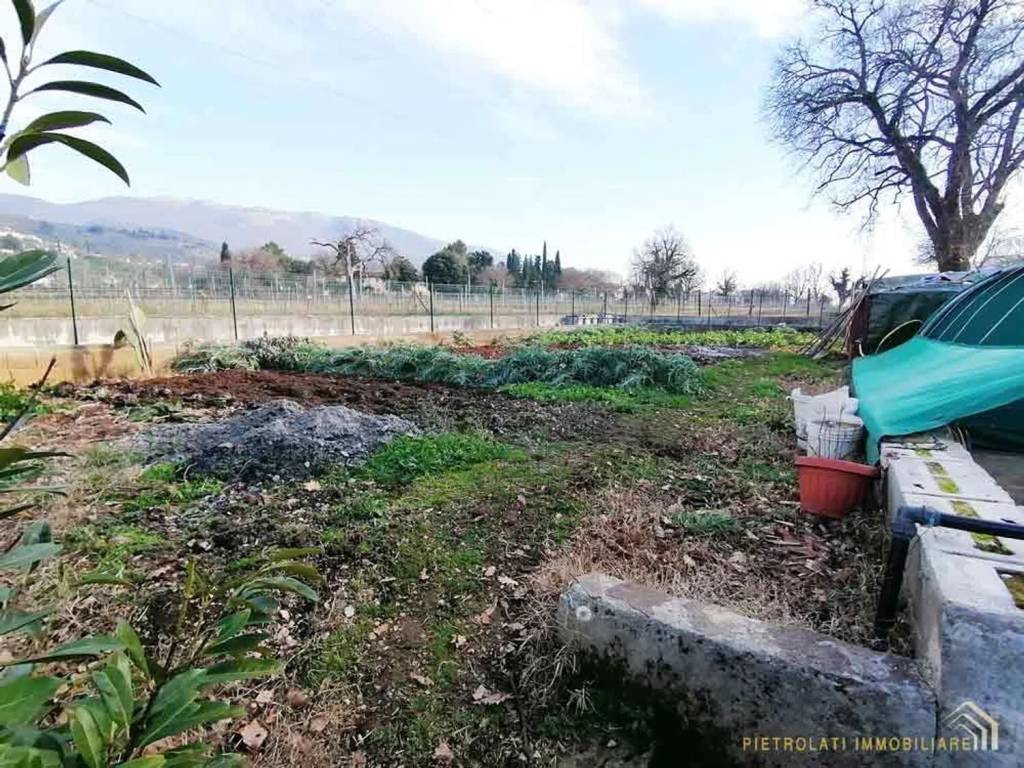 immagine annuncio 3 di 11