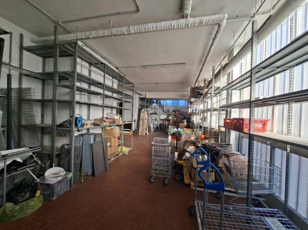 immagine annuncio 3 di 15