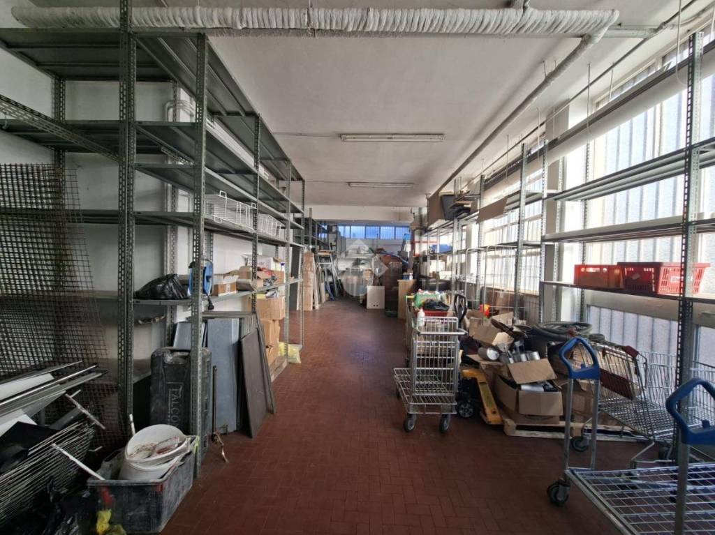 immagine annuncio 4 di 15