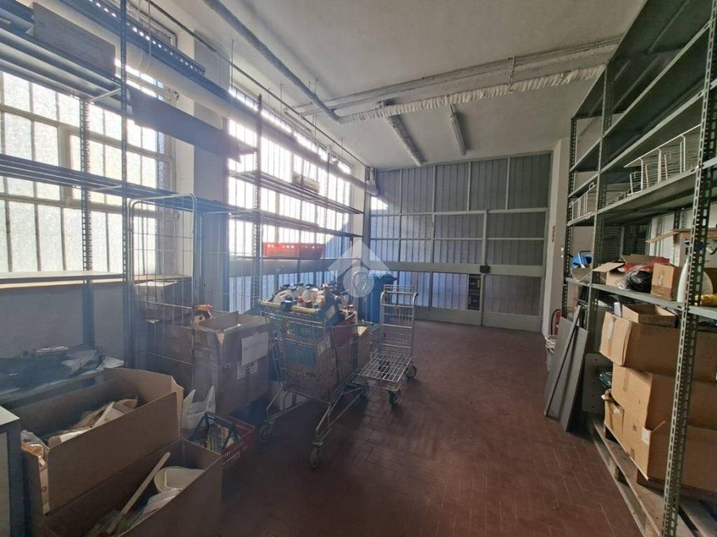 immagine annuncio 11 di 15