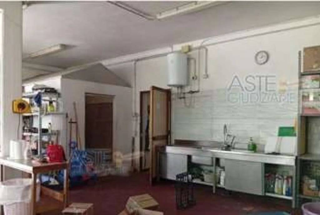 immagine annuncio 6 di 9