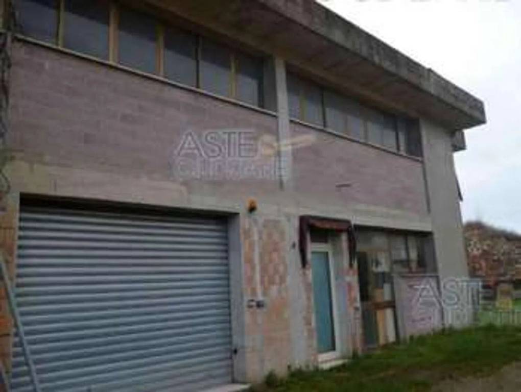 immagine annuncio 4 di 7