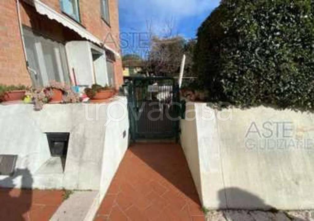 immagine annuncio 3 di 12