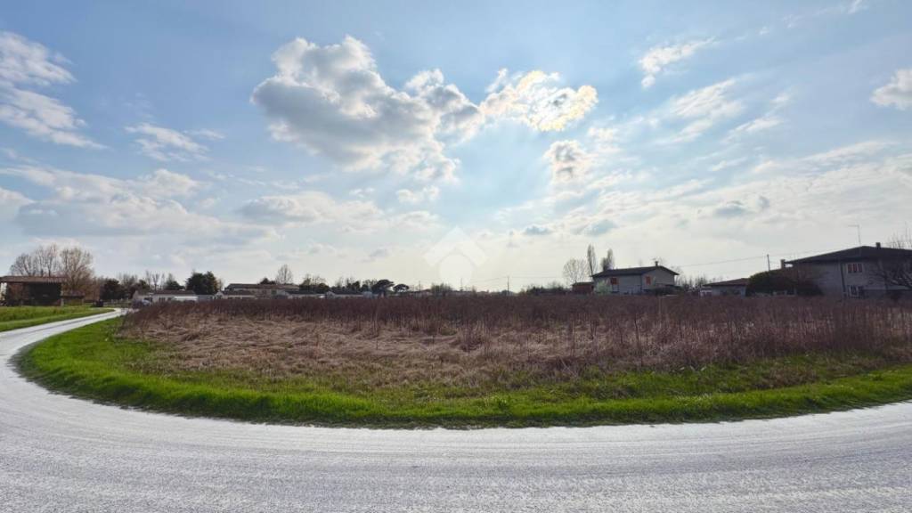 immagine annuncio 3 di 14