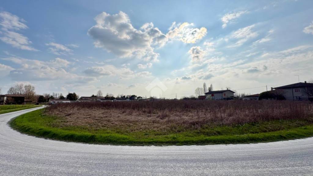 immagine annuncio 6 di 14