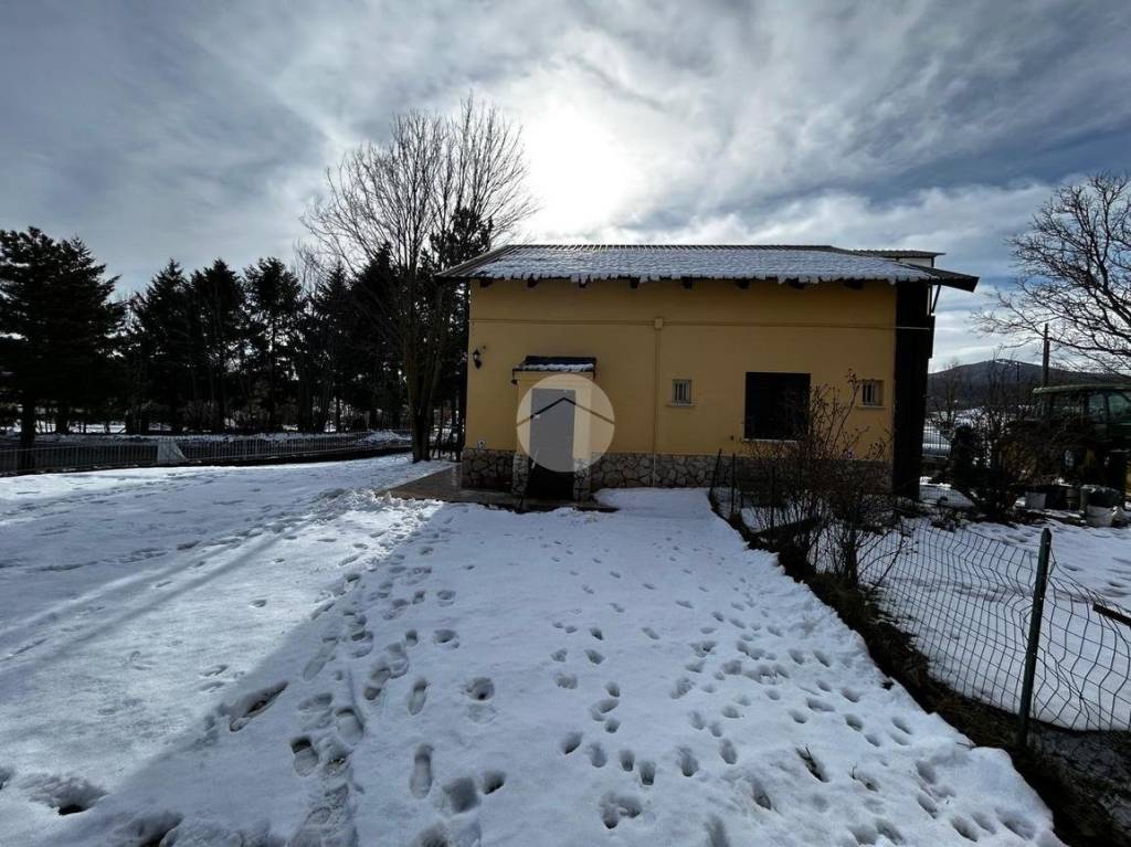 immagine annuncio 8 di 14