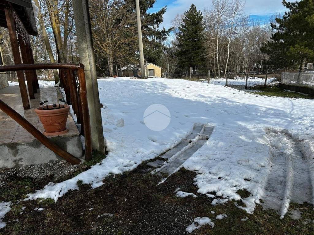 immagine annuncio 11 di 14