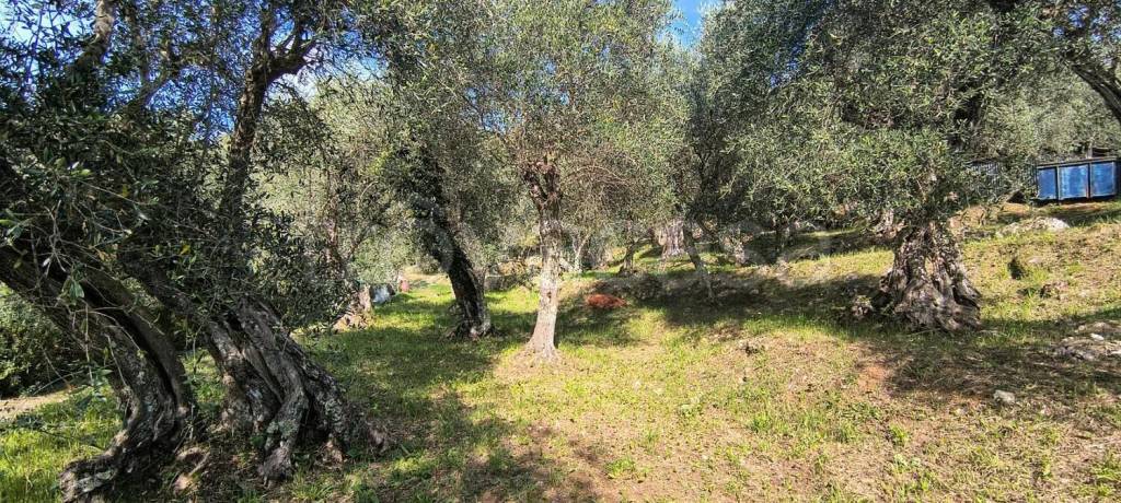 immagine annuncio 4 di 13