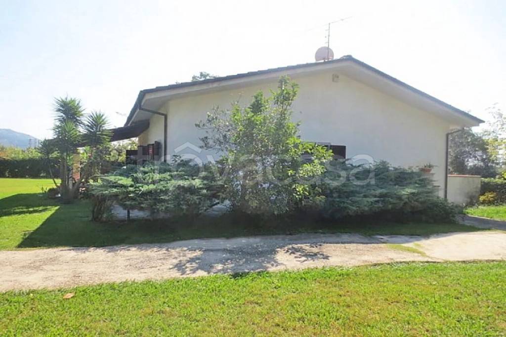 immagine annuncio 3 di 14