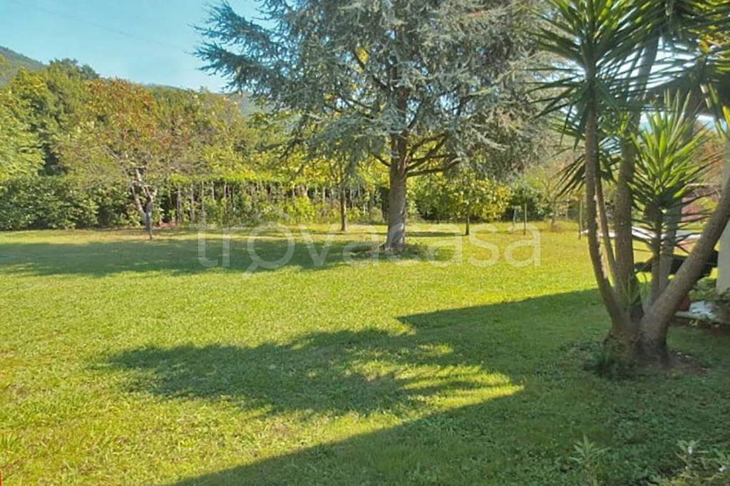 immagine annuncio 5 di 14